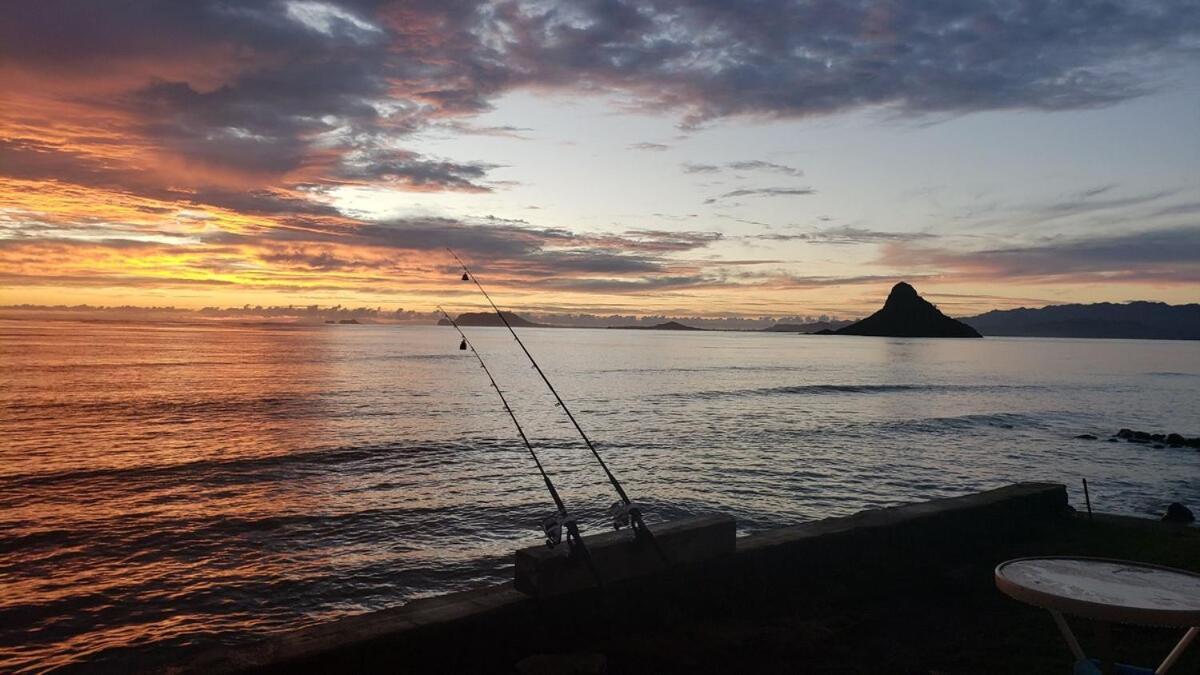 1Br With 1Ba Oceanfront In Beautiful Kualoa Vila Kaneohe Exterior foto